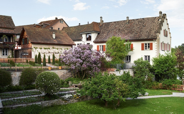 Vista sul giardino